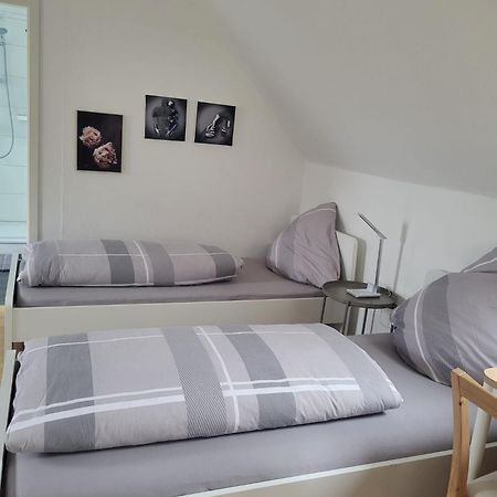 דיסבורג A&V Apartments Gemuetliche Rheinblick Wohnung Apt Daisy מראה חיצוני תמונה