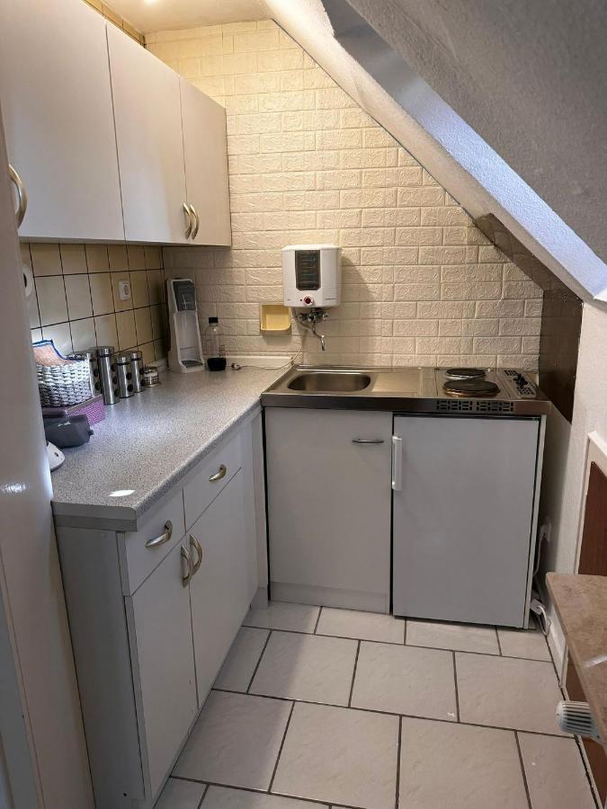 דיסבורג A&V Apartments Gemuetliche Rheinblick Wohnung Apt Daisy מראה חיצוני תמונה