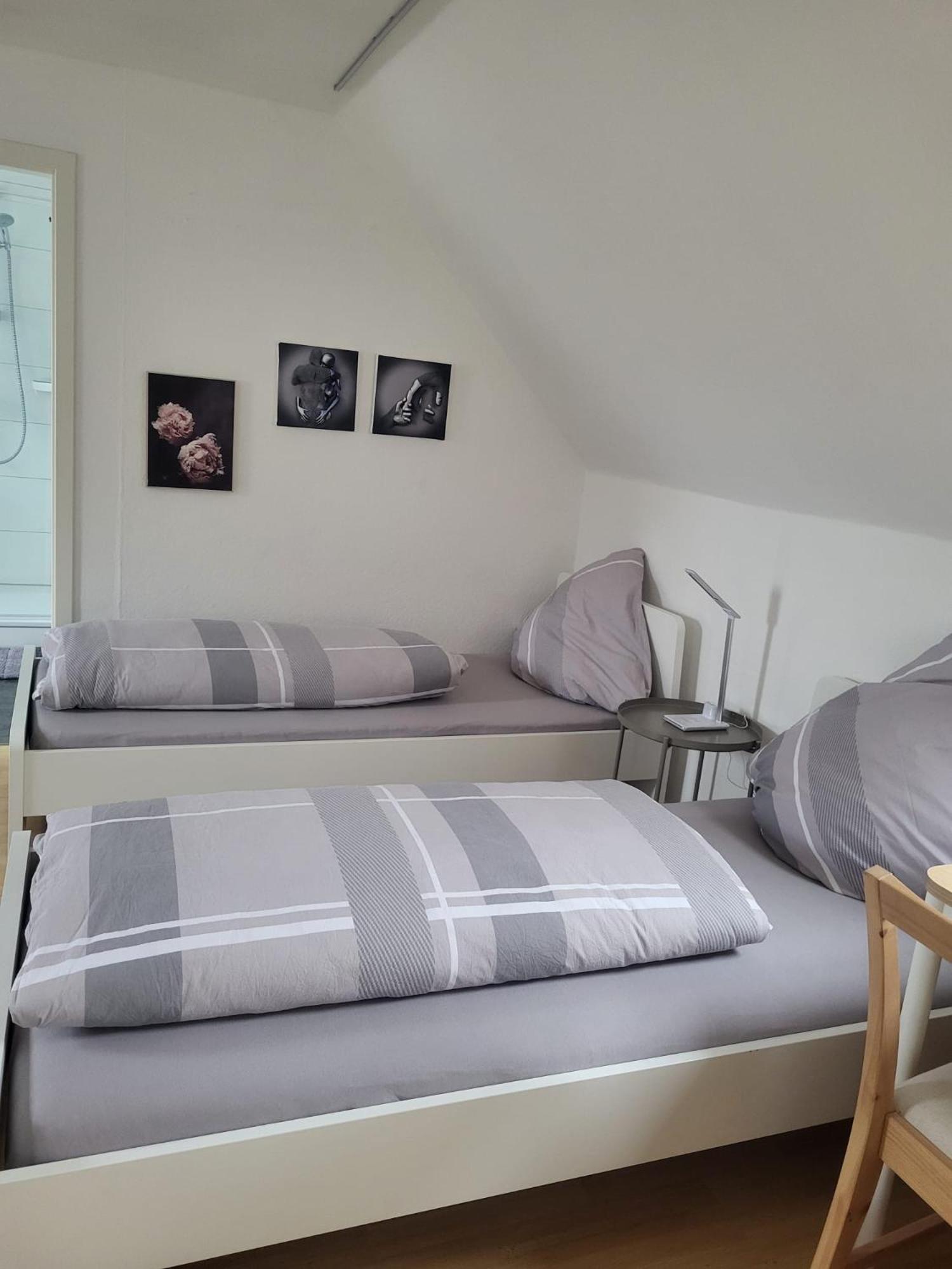 דיסבורג A&V Apartments Gemuetliche Rheinblick Wohnung Apt Daisy מראה חיצוני תמונה